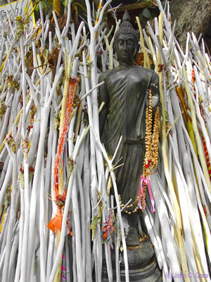 Sacred Sticks - Wat Ku Tao, Chiang Mai, 2004 by John Goss